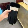 Warm Gloves for Women In Autumn and Winter Korean Fashion Touch Screen Plus Velvet and Thickened Cycling Color Matching Cold-proof Velvet Labeling