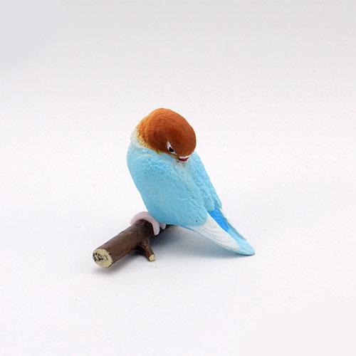 Good Morning Bird Series Gashapon Toys Budgerigar Cockatiel Lovebird Action Figure Model Ornaments Toys