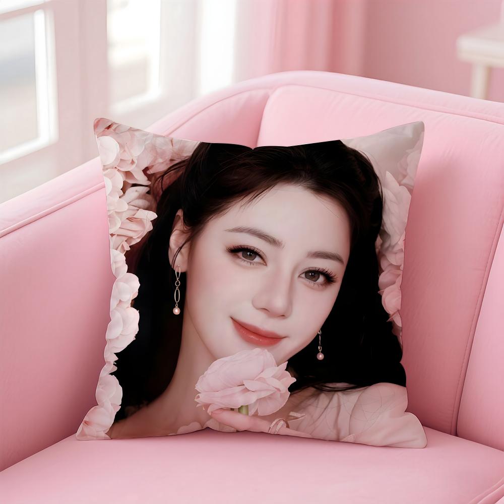 Popular fashion Elegant Chinese DDilraba Dilmurat Cushion Cover Pillow Case Soft Friendly Fabric Concealed Zipper