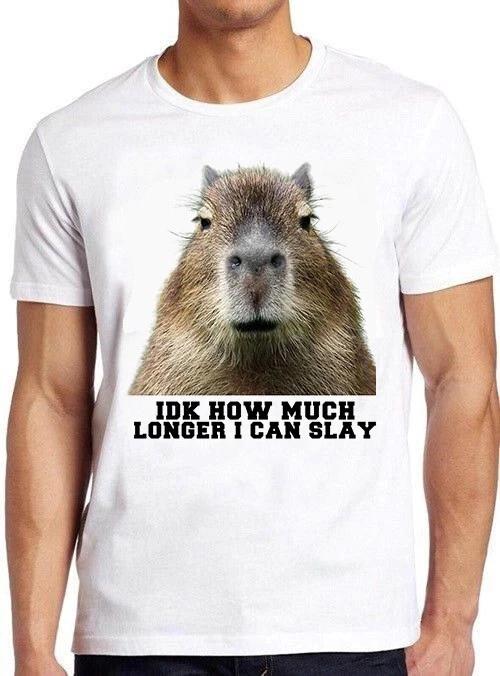 Idk How Much Longer I Can Slay Capybara Sarcastic Dan Gift Tee T Shirt M1066 XXXXL