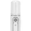 USB Charging Face Hydration Sprayer Moisturizing Face Suana Mist Spray Skincare