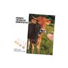 GRIRIW 4-Pack Animal Salt Blocks (Goat Salt, Horse Salt, Rabbit Salt, Livestock Salt, Salt Rick, Horse Salt, Animal Salt, Salt Holder, Rock Salt,