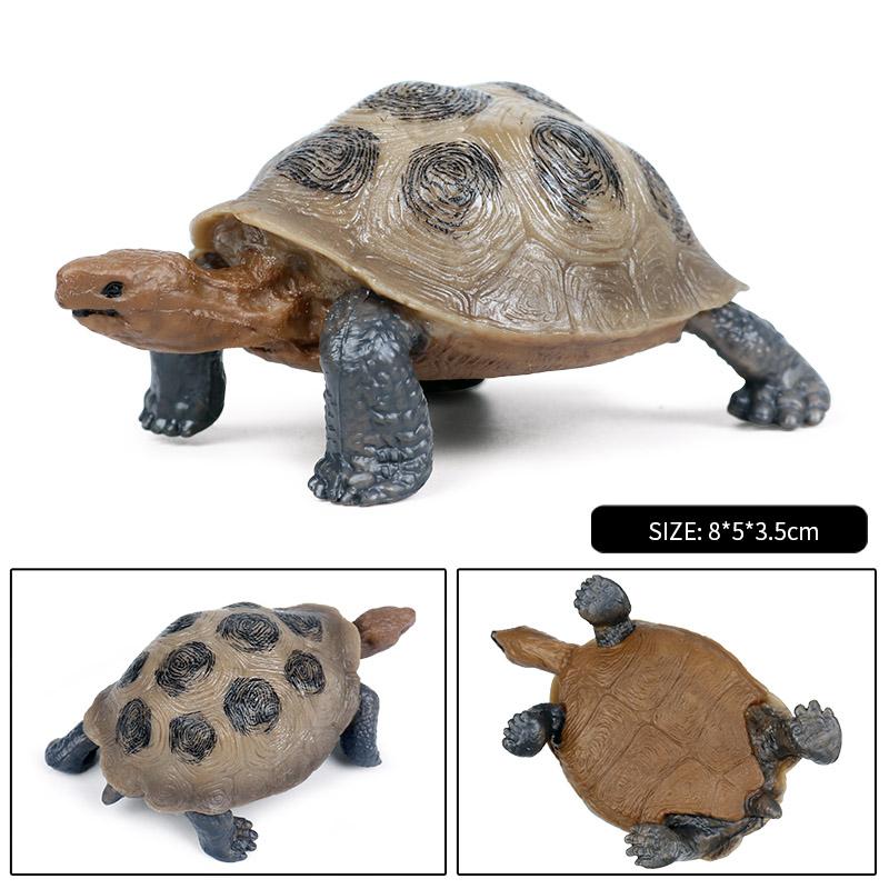 Oenux Ocean Animals Leatherback Tortoise Turtle Growth Cycle Sea Life Model Figurines Action Figures PVC Education Kid Toy Gift