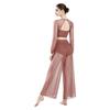 Damen Lyrical Dance Outfits Laternenärmel Rückenfreies Crop Top Eingearbeiteter Slip Netzhose Fließende Tanzbekleidung