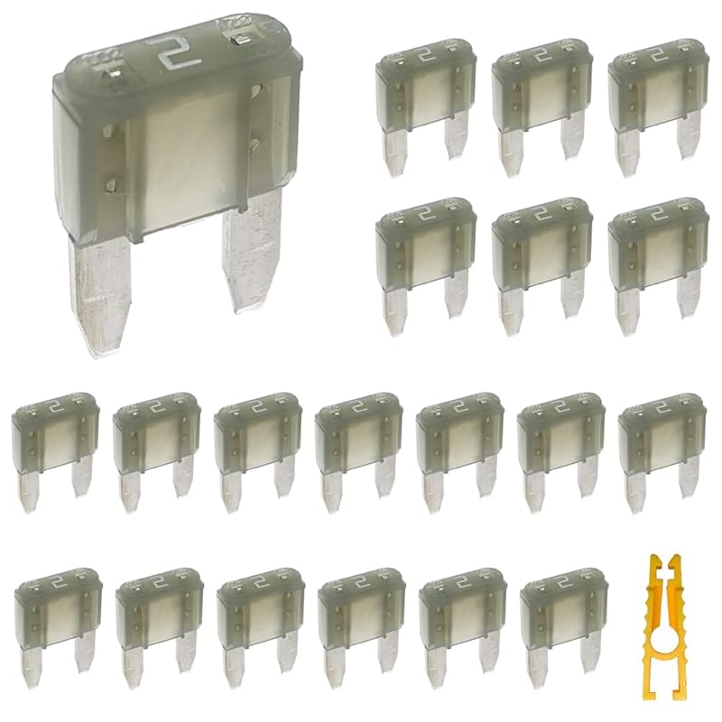 20pcs Mini Blade Fuse and 1 Fuse Puller 10A 32V Fast Blow for Replacement Fuses for Car/RV/Truck/Motorcycle/Boat (Mini 10 Amp) Mini 2 Amp
