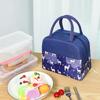 Heavy Duty Lunch Box Reusable Lunch Bags Cute Lunchboxes Kawaii Animal Lunch Bag Cooler for Picnic Office Work Travel