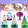 Magical Crystal Flowering Paper Tree Toy For Kids Ideal For Christmas Celebrations