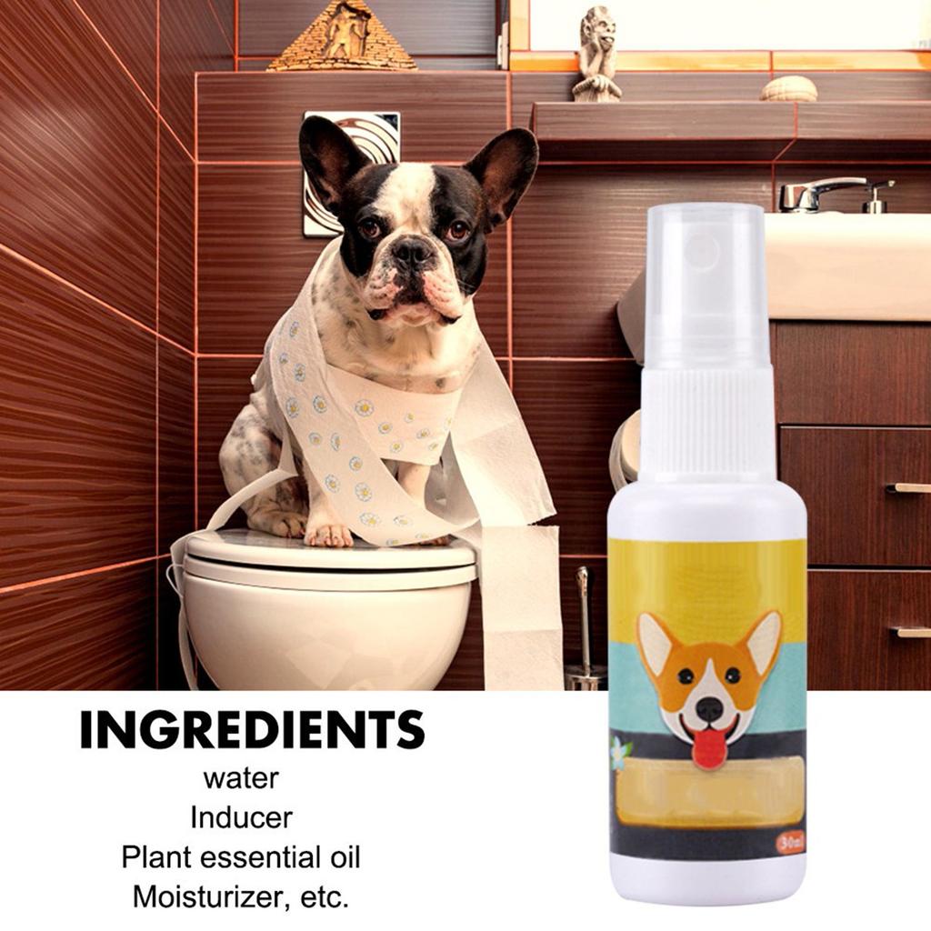 Dog Toilet Training Spray Inducer Puppies Train Positioning Liquid 30ml