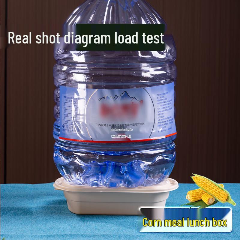 Biodegradable Corn Starch Square Food Container, 650ml