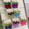 Korean Style Grape Earrings Bohemia Earrings Beads Earrings Creative Fruit Dangle Earring  Vacation
