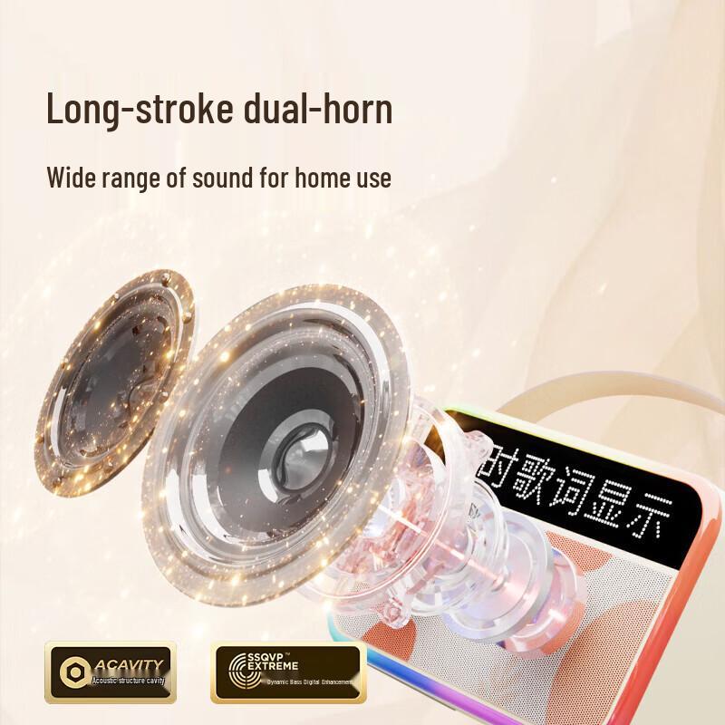 Tanula Dual-Mic Karaoke Speaker with AI Features (CN version)