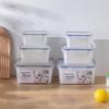 Rectangular Transparent Food-Grade Plastic Storage Box with Lid for Refrigeration