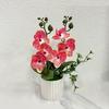 Multicolor Butterfly Orchid Artificial Flower Plastic Faux Moth Orchid Potted  Desktop Oranemnt