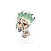 Dr. Stone Japanischer Anime-Merchandise Ishigami Senkuu Acryl-Ständerfigur Sammlerstück Schreibtisch-Dekoration Kreatives Geburtstagsgeschenk Für Jungen
