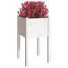 Planters 2 Pcs White 40 X 40 X 70 Cm Solid Pine Wood