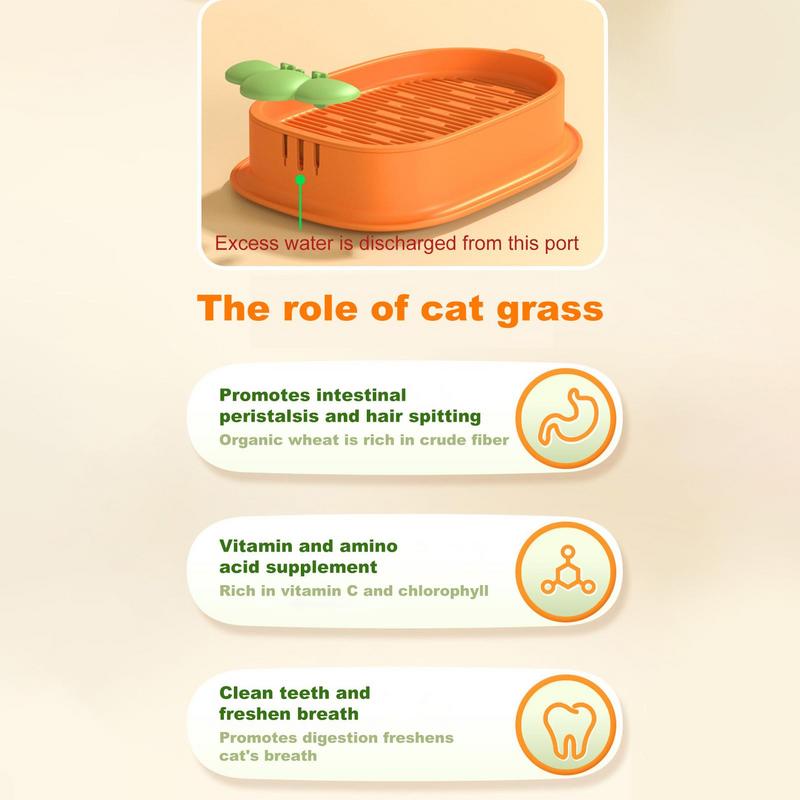 Pet Cat Grass Starting Dish Greenhouse Hydroponics Plant Cat Grass Digestion Growing Tray Germination Nursery Pot Box Supplies