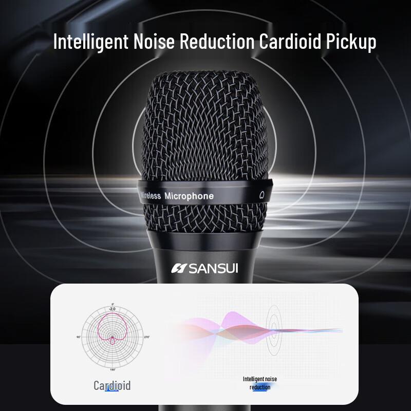 Shanshui K12 Dual Wireless Microphone System