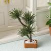 1 Stück Mikro-Landschaftsgarten Bonsai-Ornament 1/12 Puppenhaus Simulation Kieferngrün Pflanzen Bonsai-Modell Szene Dekoration