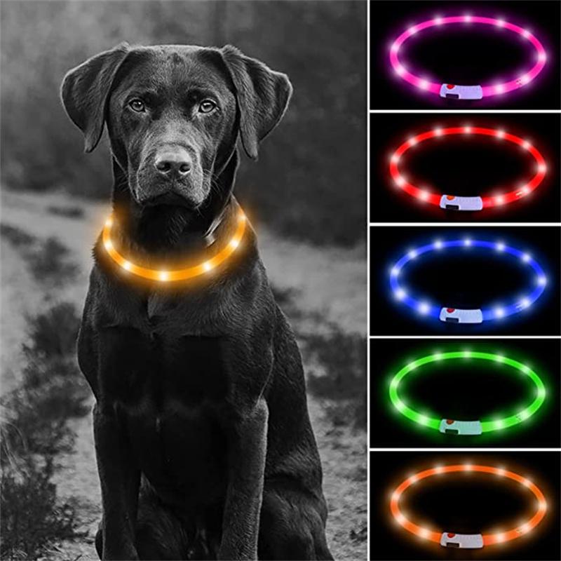 LED Dog Collar USB Rechargeable Light Up Dog Collars, Lighted Dog Collar Glowin The Dark, Flashing Lights for Your Walking Night