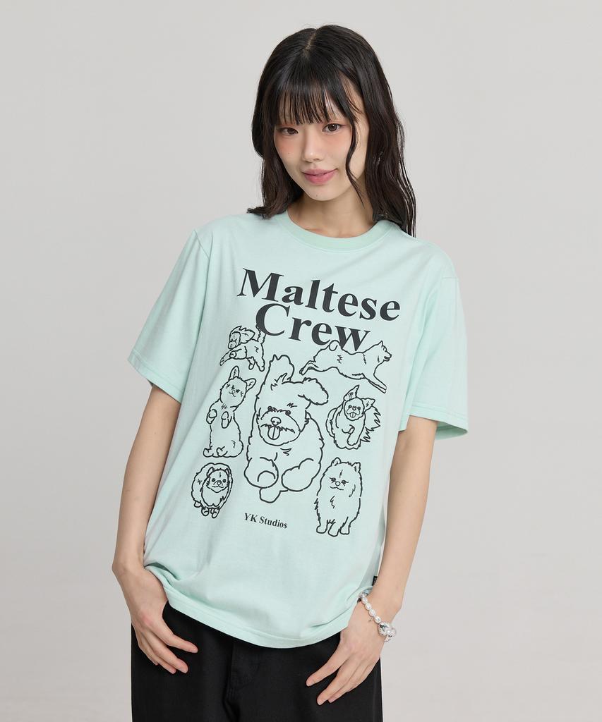 WAIKEI Maltese Crew Line Graphic Short Sleeve T-Shirt Mint