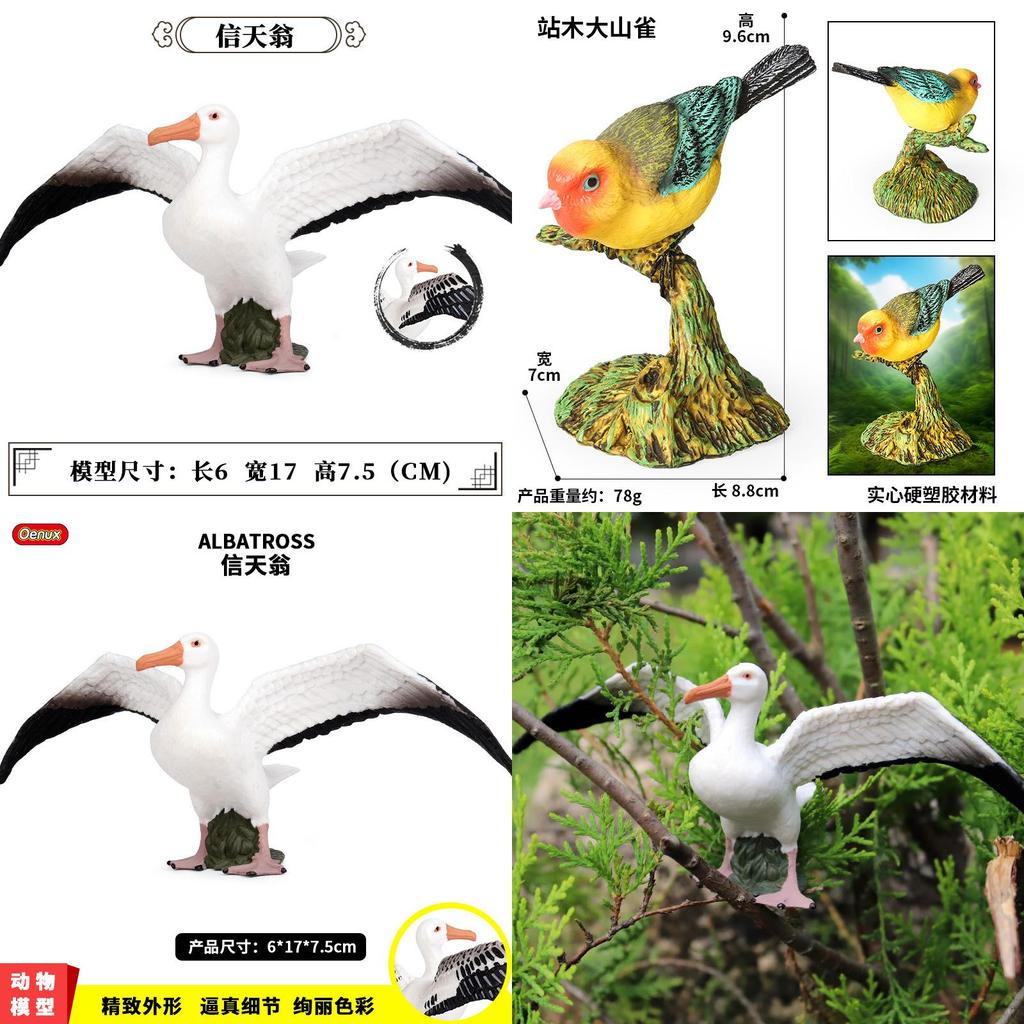 Wildlife Albatross Sparrow Bird Static Model For Kids Educational Play