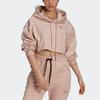 Adidas Casual Loose Short Hooded Sweatshirt Women Sweatshirt Pink GL7337