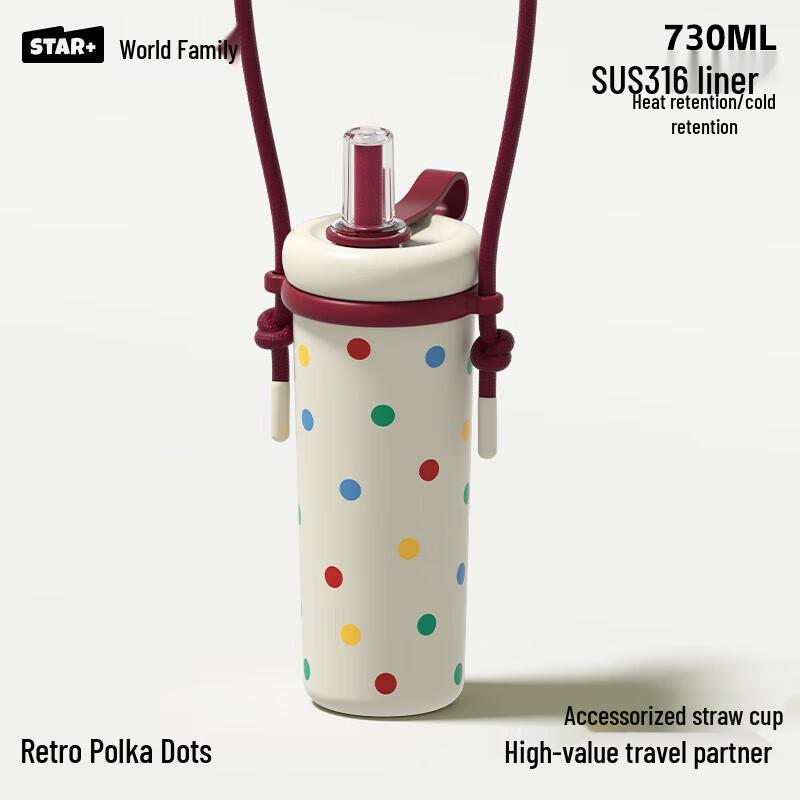 Shidajia 730ml Graffiti Insulated Straw Cup