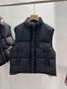 Women's Stand Collar Down Vest - Warm, Sleeveless, Two-Button Basic for Autumn/Winter Fashion