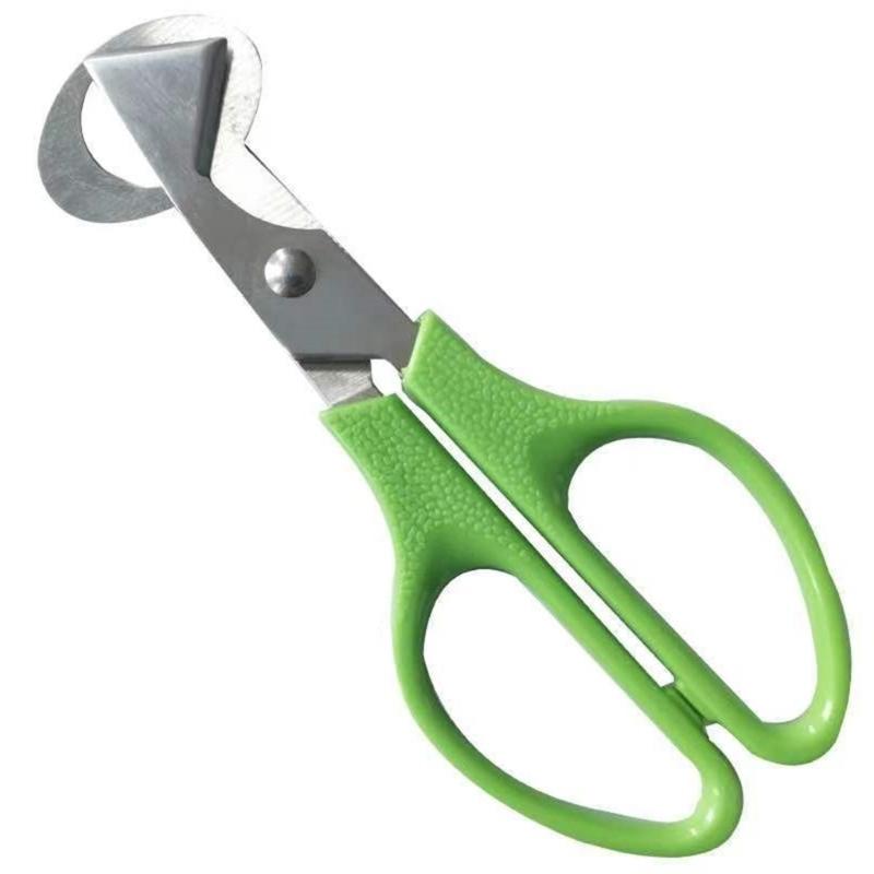 Nonrust Steel Quail Eggs Scissors Ergonomic Handle Quail Eggs Separators for Easy Use and Mess Release Eggs Cutting