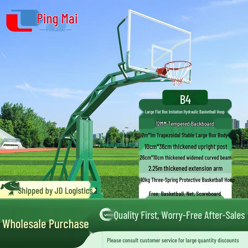 Pingmai Portable Basketball Hoop