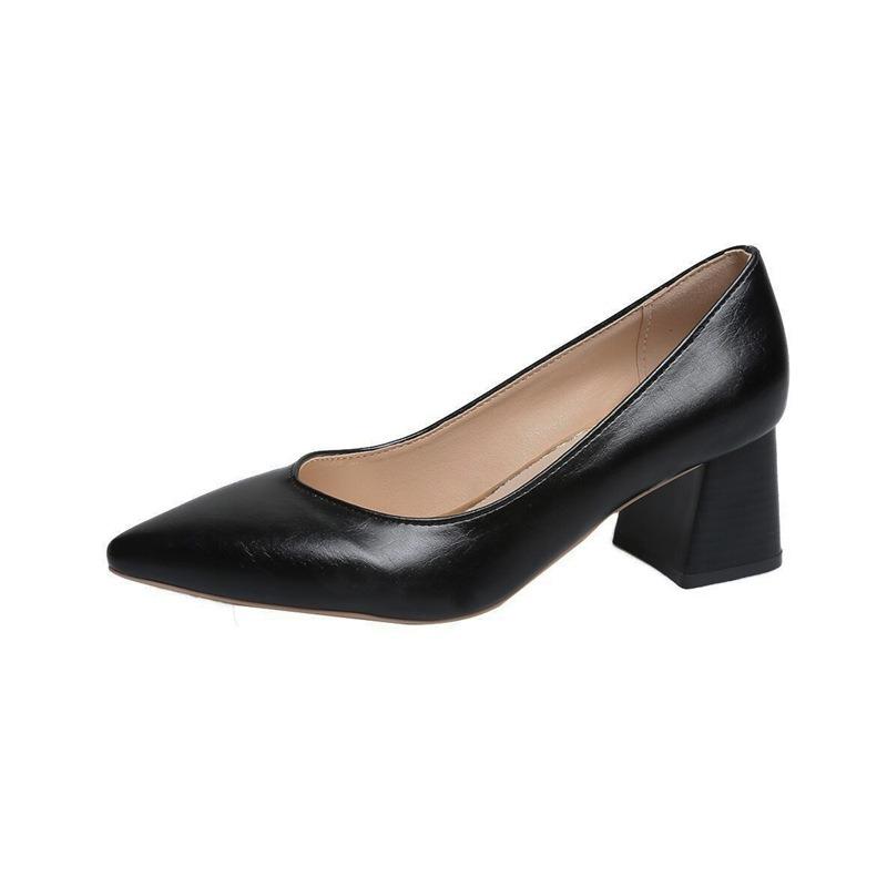 Women's Shoes 20 New Autumn Pointed Toe Foot Shoes Women's Thick Heel Shallow Mouth Sexy High Heels Professional Shoes