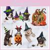 Kitten Puppy Pumpkin Halloween Sticker For Fun Home Decor**