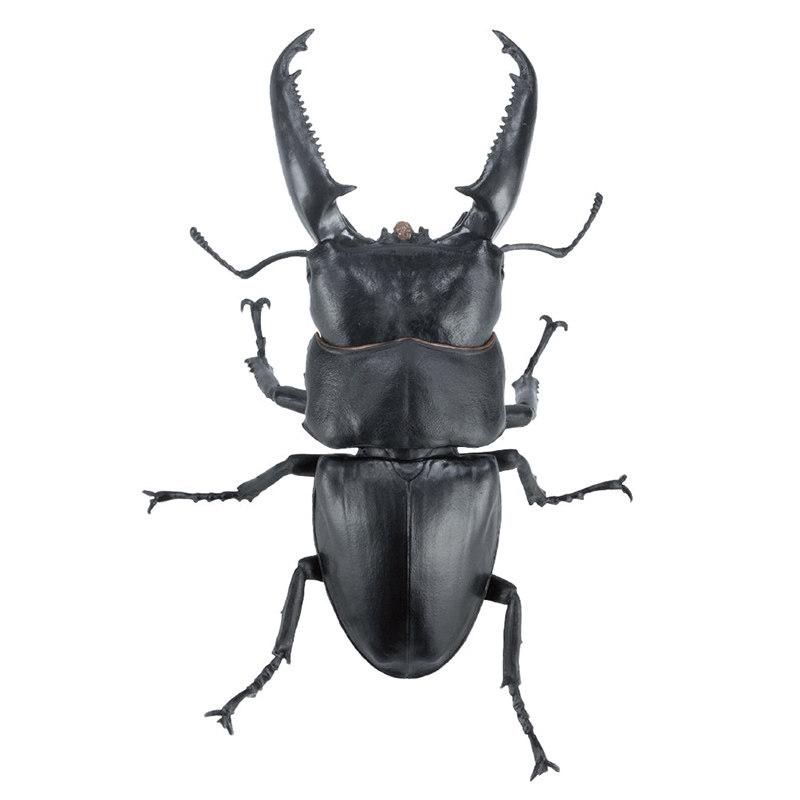 Sota Simulation Insect Model Giant Stag Beetle Palawan Sumatran Biological Illustration Collectible Figurine With Display Stand