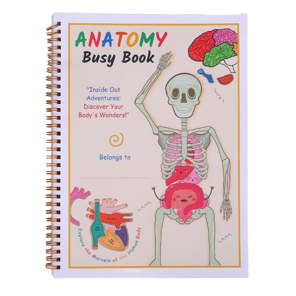 Human Body Anatomy Book for Toddlers Interactive Preschool Learning Human Body Anatomy Book