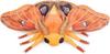 ZHONGXIN MADE Polyphemos Moth Polyphemos Moth Plush Toy Realistic Large Winged Moth Stuffed Animal Toy Soft Unique Present Collection for Kids Adults