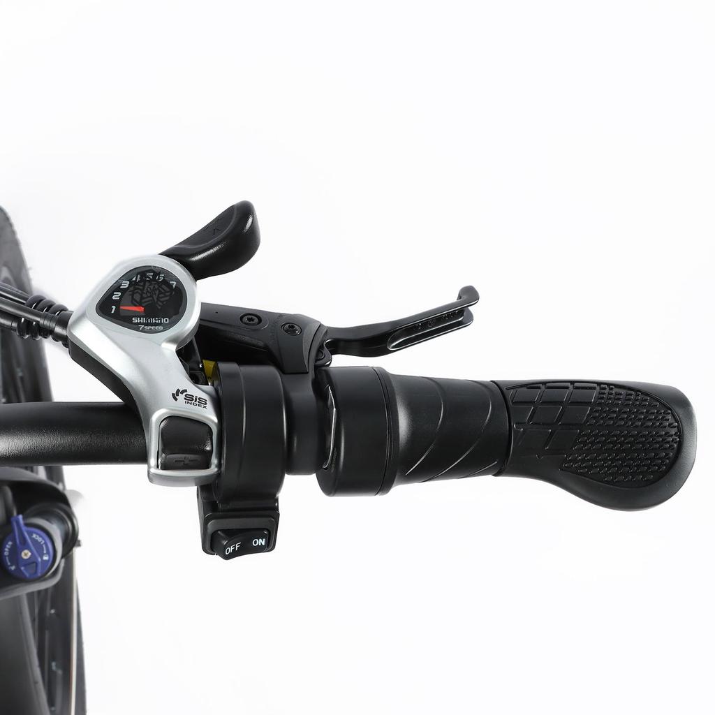 E-Bike Baolujie DP-2603 3000W Dual Motor 48V25AH Battery Mountain Electric Bike 26 Inch Off-Road Tires All Terrain Adult Electric Bicycle