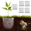 Application Gopher Proof Wire Basket Mole And Vole Mesh