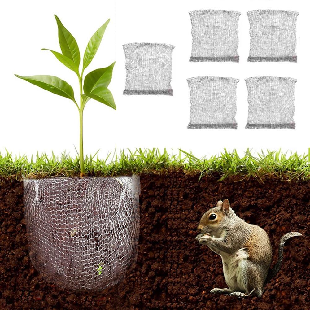 Application Gopher Proof Wire Basket Mole And Vole Mesh