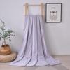 Ice Silk Summer Quilt