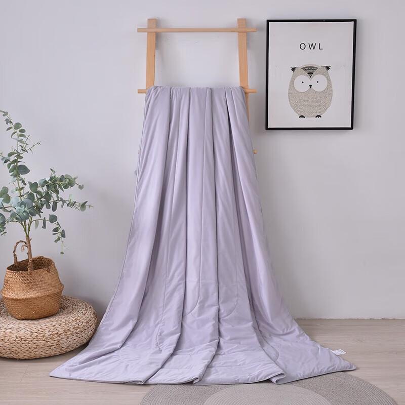 Ice Silk Summer Quilt