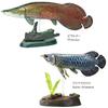 Carolata Ancient Fish Figure 3D Encyclopedia Creatures 7 Species With Realistic Figure Box Educational Toy Birthday Present Gift Sanitation Law Figure