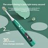 Electric Toothbrush, Sonic Vibration Induction Charging, Free Electric Toothbrush Head