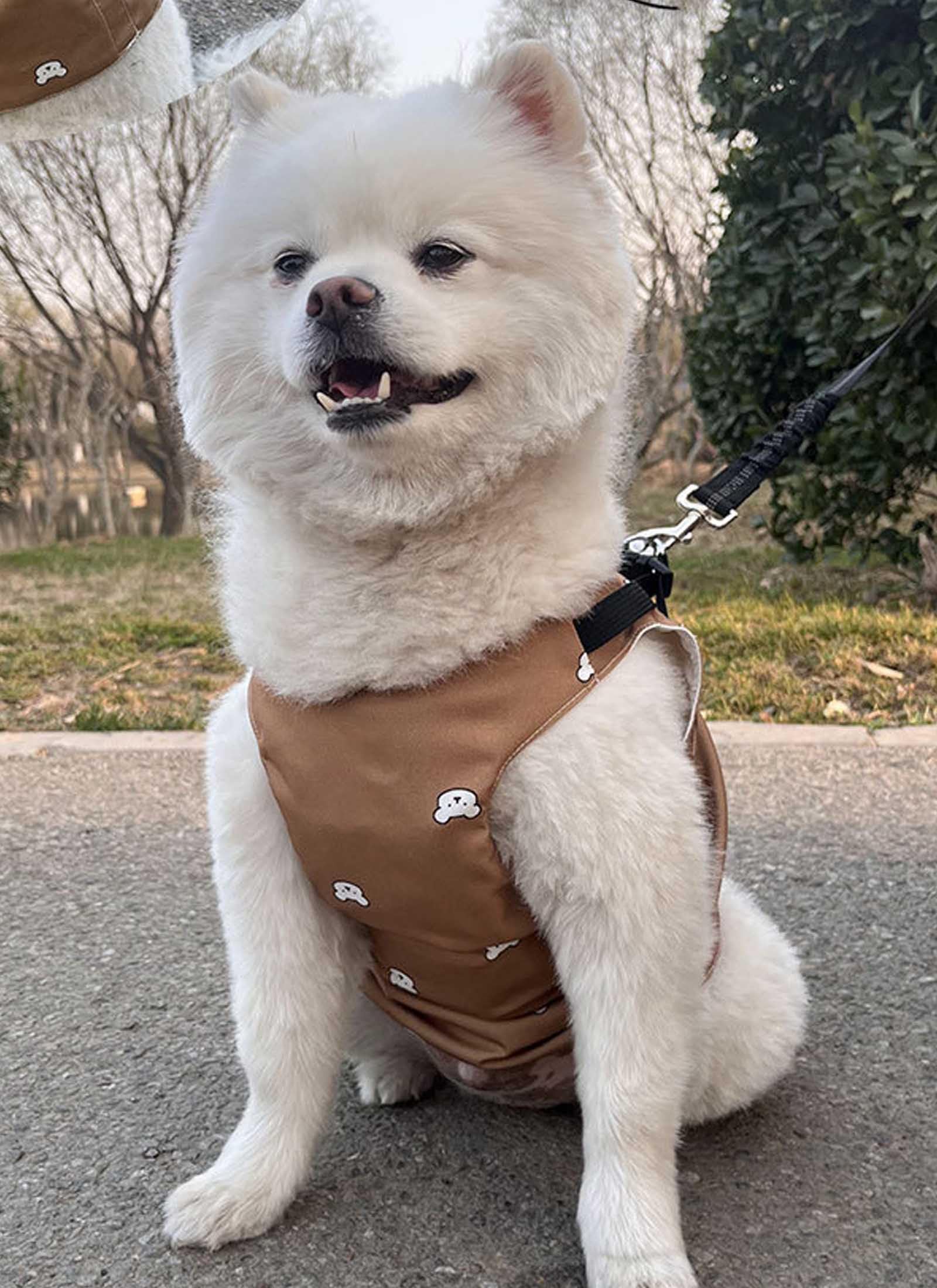 

Хакона Собака Летнее Охлаждение Без Пакетов Со Льдом Охлаждает Собак и Тепловой Удар Охлаждающий Собачий Охлаждающий Питомец Солнечное Охлаждение для и Крупных Собак Коричневый Жилет, Обязательно,