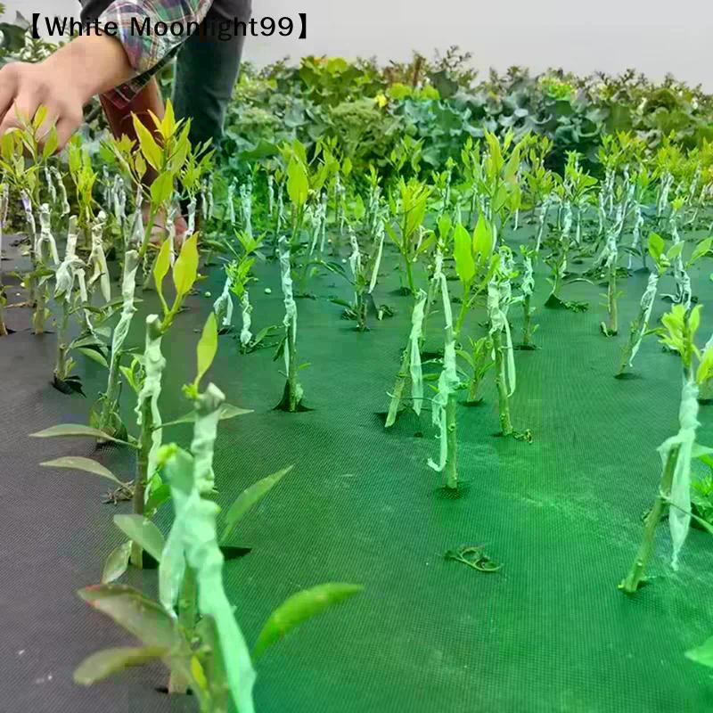 Nastro Film per Innesto in PE 200M Autoadesivo per Piante da Vivaio di Alberi da Frutto Piantine Vite Fiorista Forniture per Innesto Pomodoro Elastico