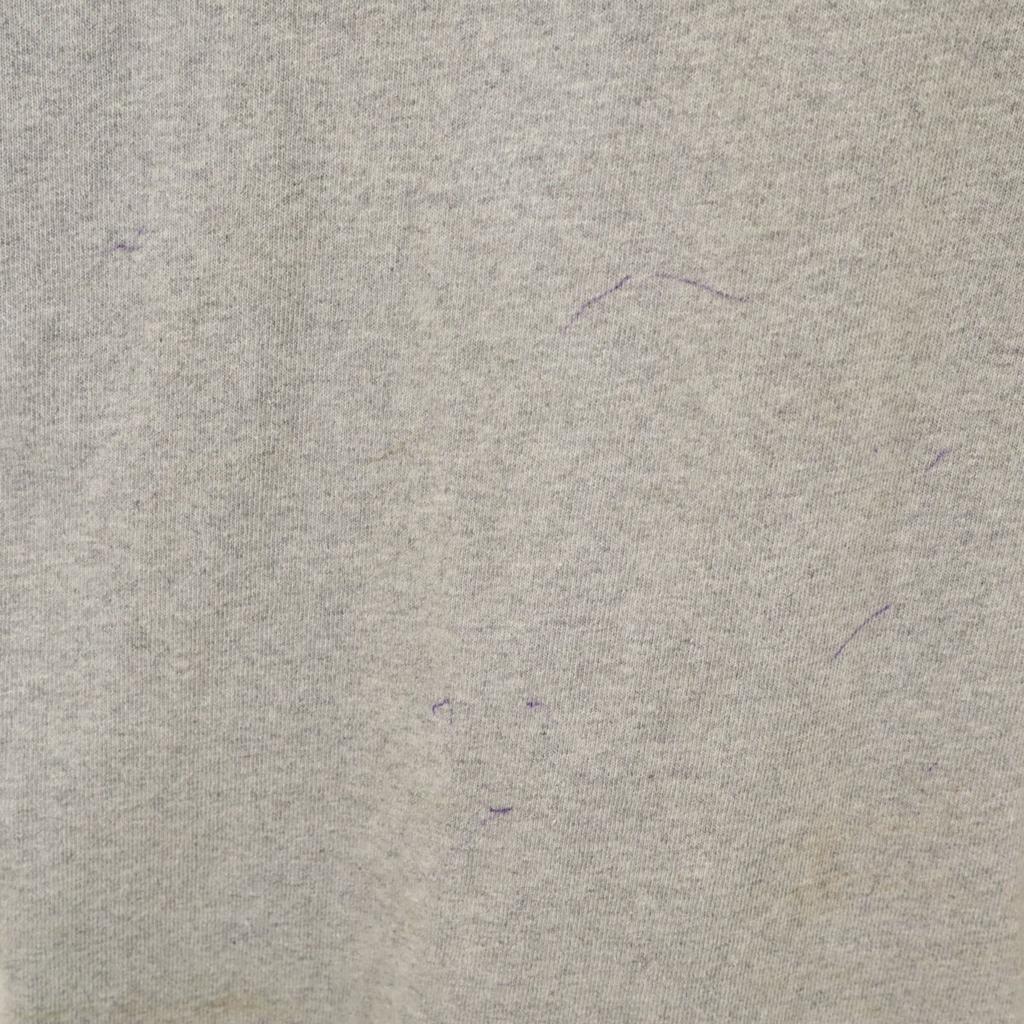 Champion NFL American Football Short sleeve T-shirt Gray Men's Used