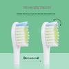 Shangheng SHZH-039 Smart Sonic Electric Toothbrush CN plug (adapter included)