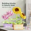 Flower Succulent Potted Model Building Block Diy Eternal Bouquet Home Desk Plant Decor Brick Girl Gift Children Toy