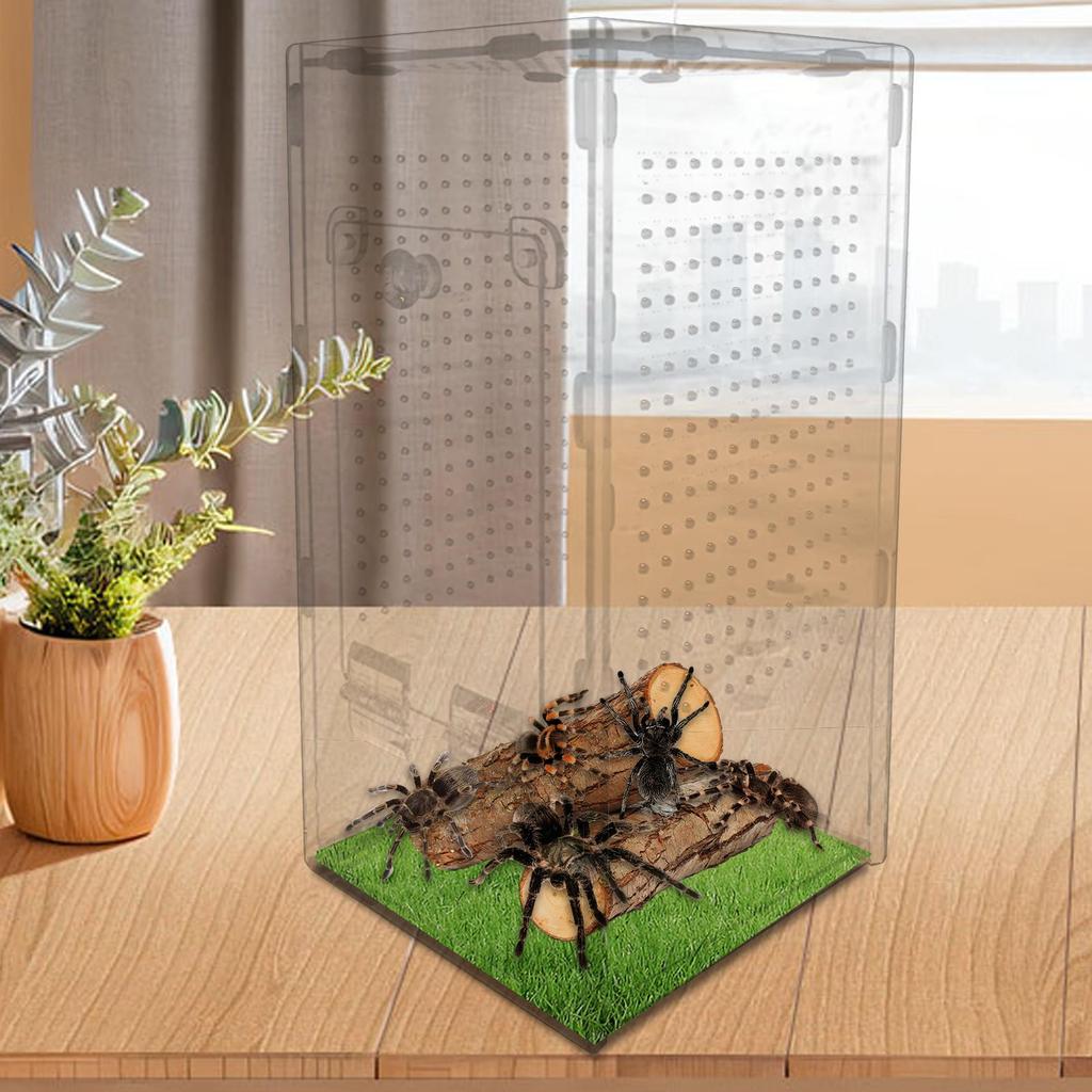 Spider Enclosure Acrylic Enclosure Jumping Spider House Ventilated Reptile Animal Cage for Breeding Observation Frog Lizard