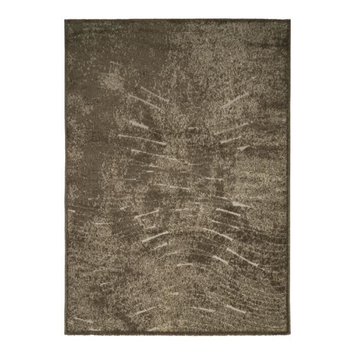 DEHORS-DEDANS ONDES - Tapis pour intérieur-Extérieur Jardin et terrasse Résistant à la pluie - 160 x 230 cm Brun