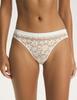Lovely Cherry Bloovii Briefs